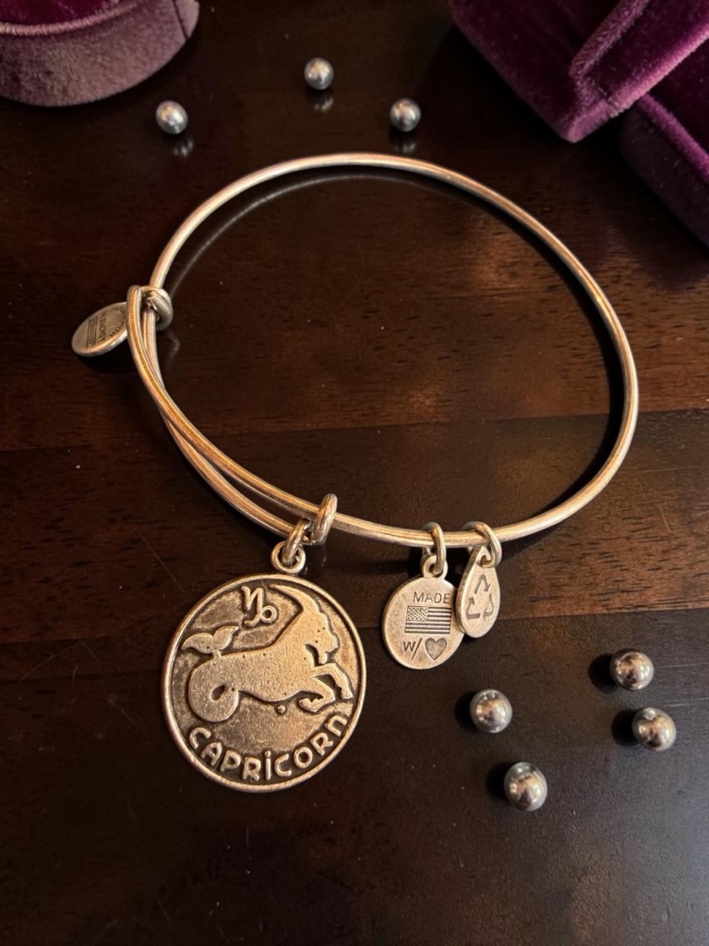Alex and Ani Silver Capricorn Zodiac Charm Bangle